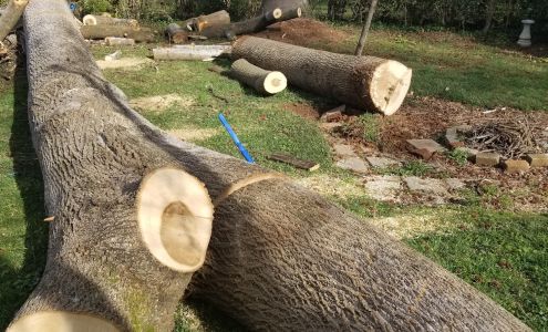 Hensley & Son's Tree Service