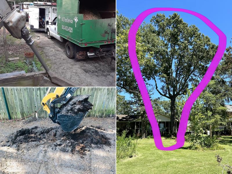 A To Z Tree Service