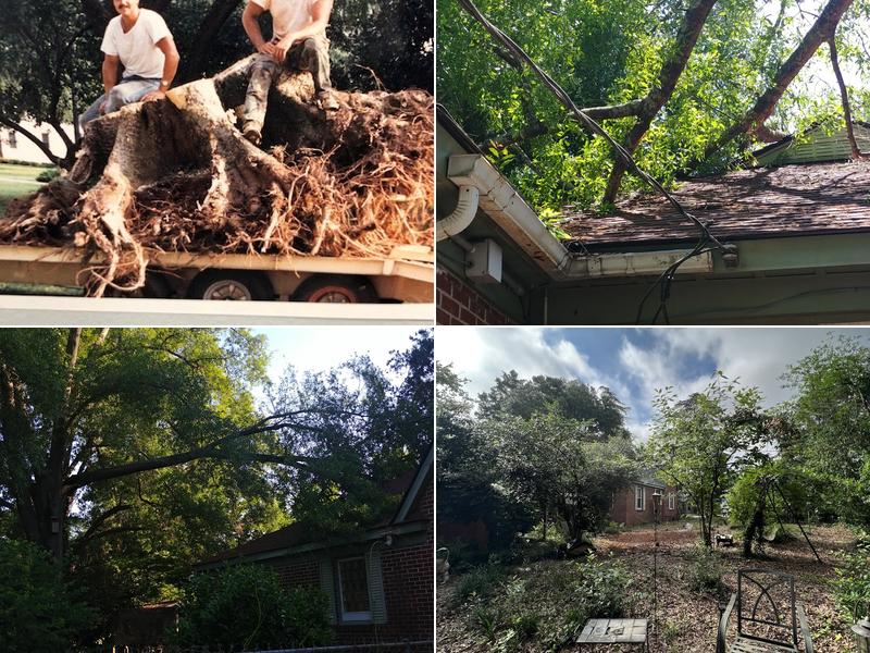 Pioneer Tree Service