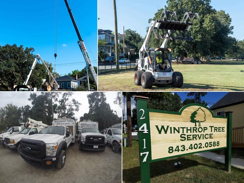 Winthrop Tree Service