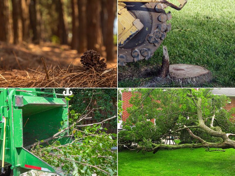 PO Boy's Tree Services