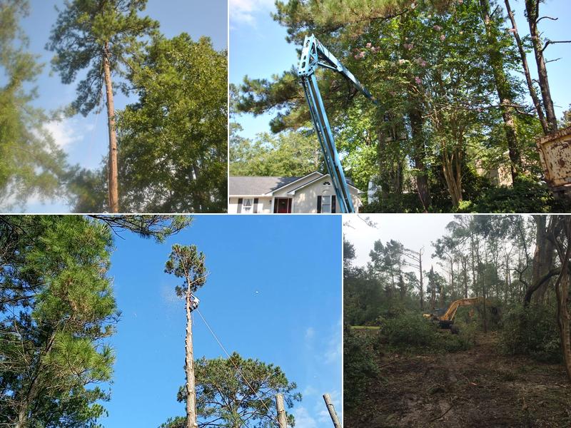 Keating Tree Service