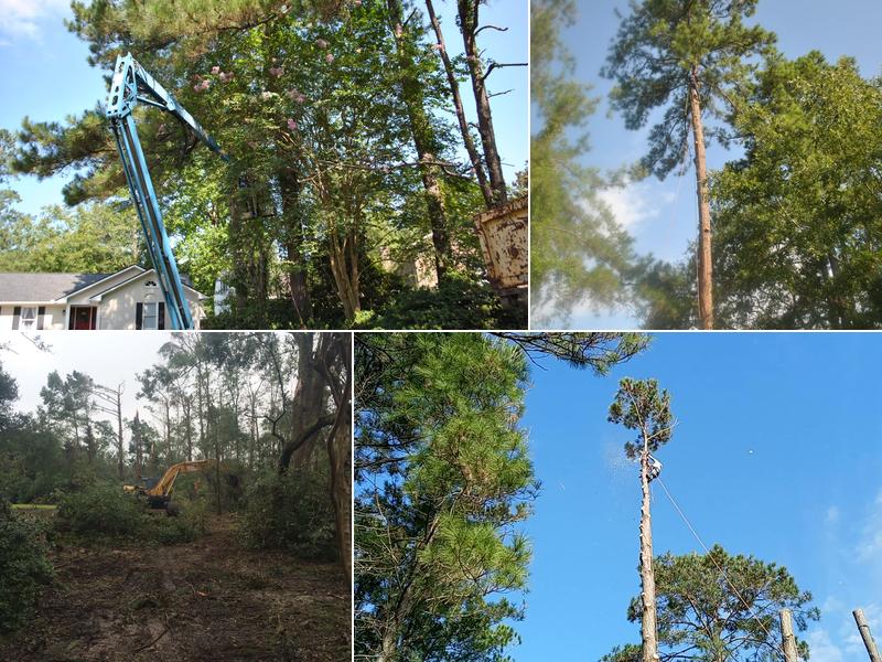 Keating Tree Service