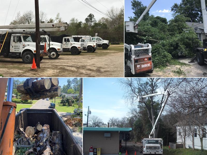 Kervin Bros Stump & Tree Co. LLC