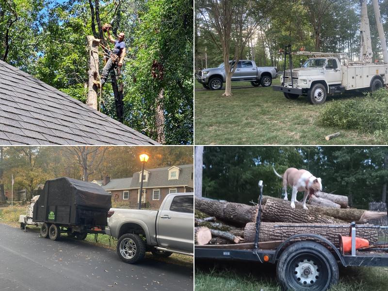J R's Tree Services