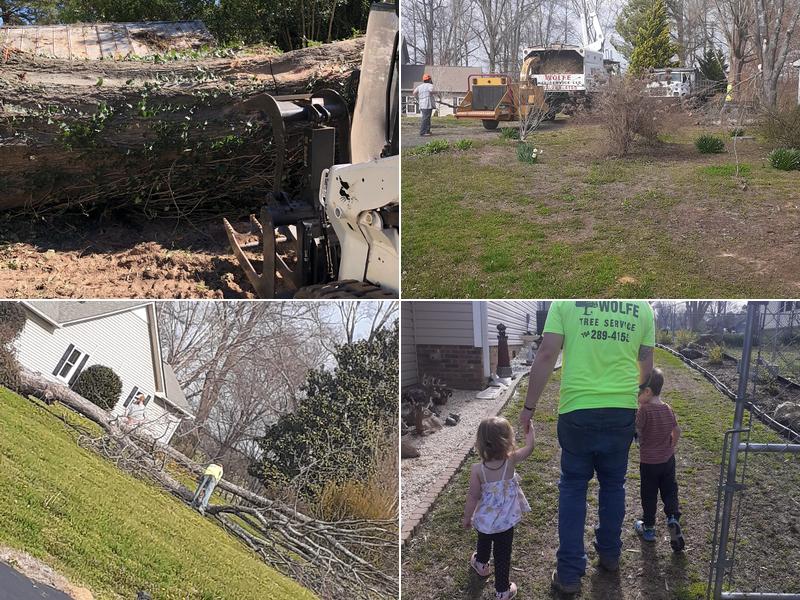 Wolfe Tree Service, LLC