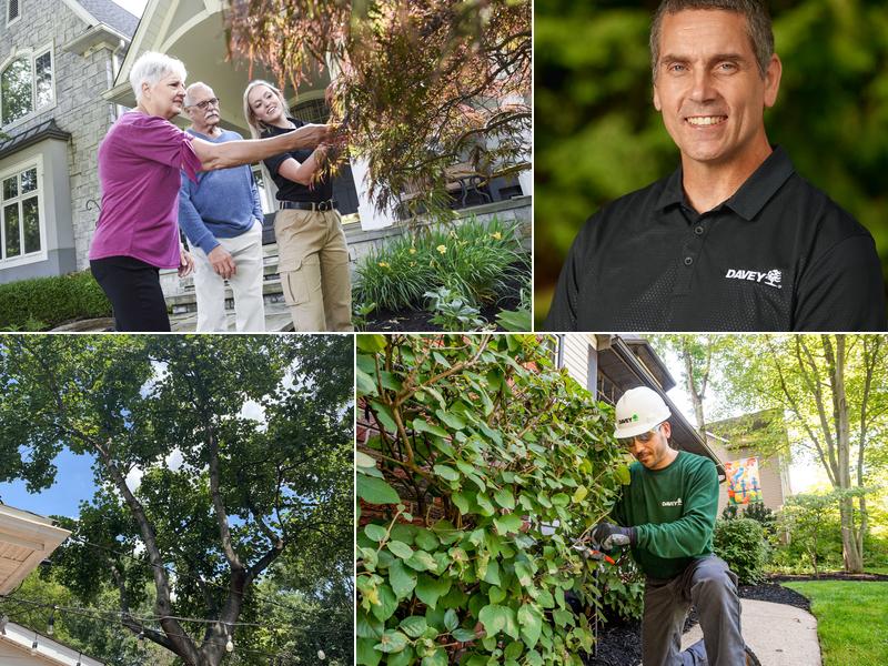 The Davey Tree Expert Company