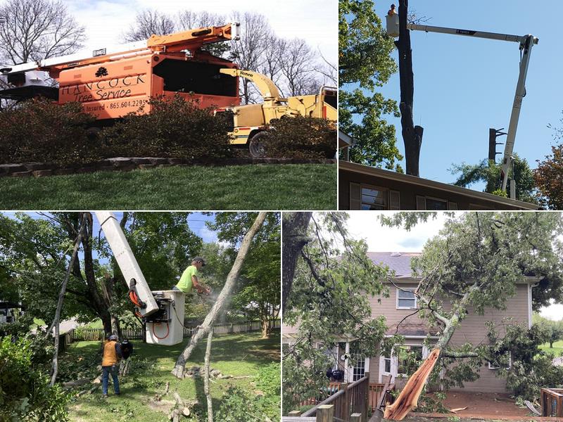 Hancock Tree Service