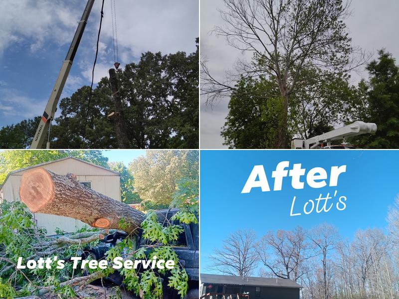 LOTT'S A-PLUS TREE SERVICE