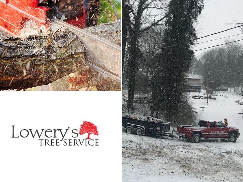 Lowery's Tree Service