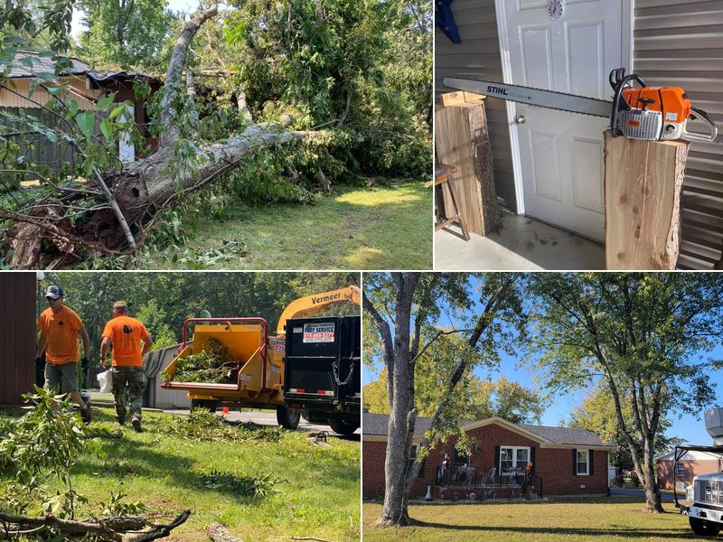 ANYTHING OUTDOORS TREE SERVICE