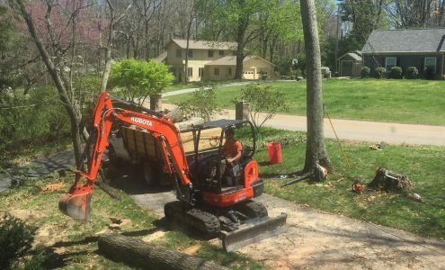 Green Rock Tree Service 919 Palmer Ave, Walden Tennessee 37377