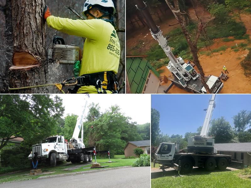 East TN Tree Service Inc.