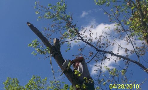 Posey's Tree Service