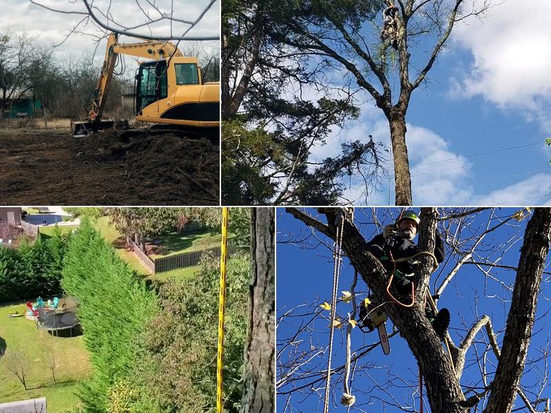 Lowery's Tree Service