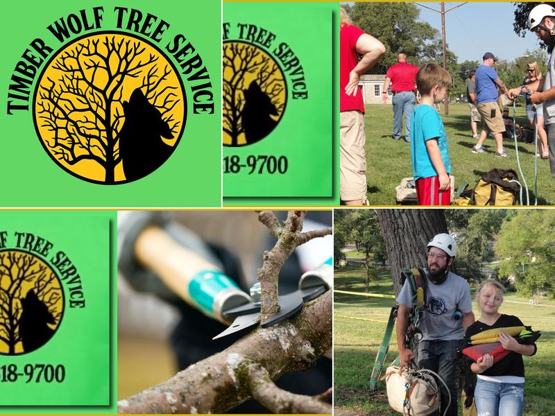 Timber Wolf Tree Service