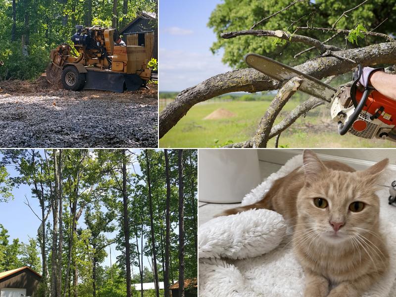 Graham Brown Tree Service