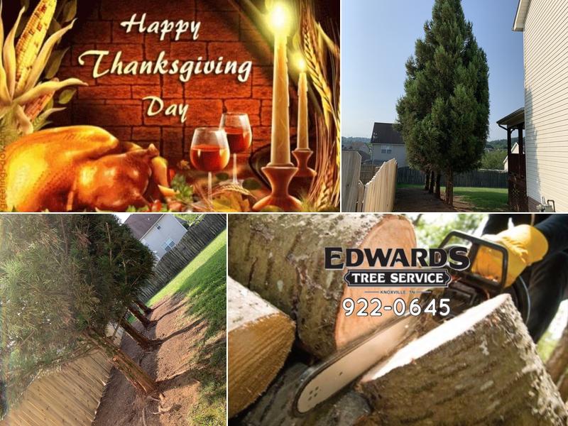 Edwards Tree Services