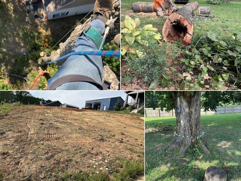 Hard Knot Tree Service Inc.