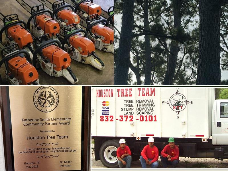 Houston Tree Team