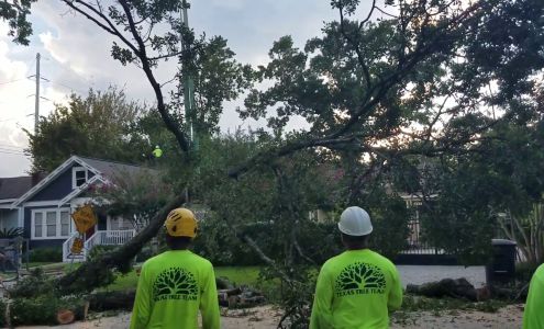 Texas Tree Team- SavATree
