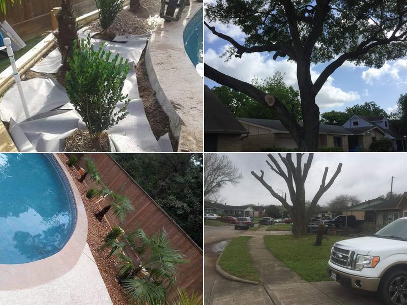 Ic Maldonado tree services