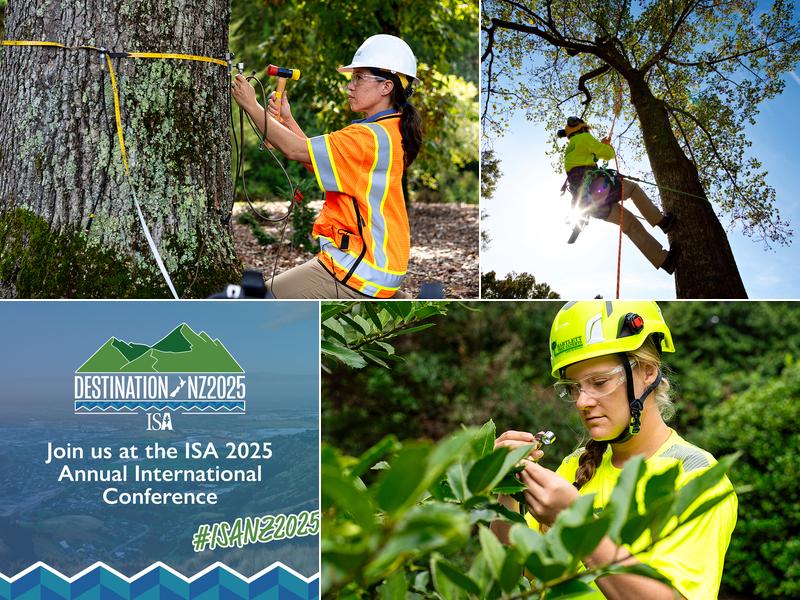 Bartlett Tree Experts