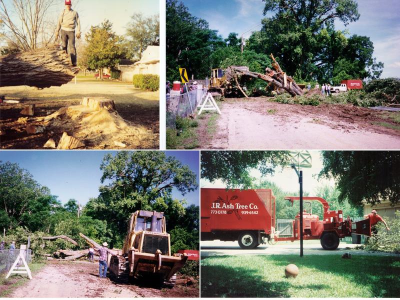 J R Ash Tree Company