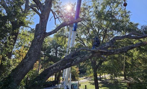 Merritt's Tree Service 21456 Co Rd 4219, Coffee City Texas 75763