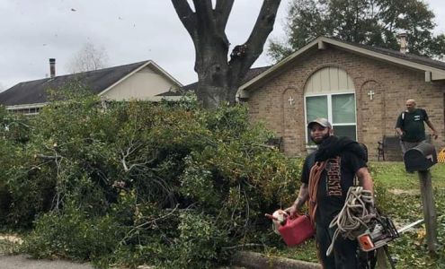 Trees Be Gone 3301 Luella Ave, Deer Park Texas 77536