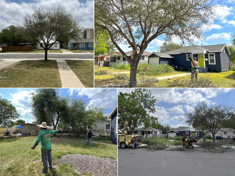 Callaway's Tree Service