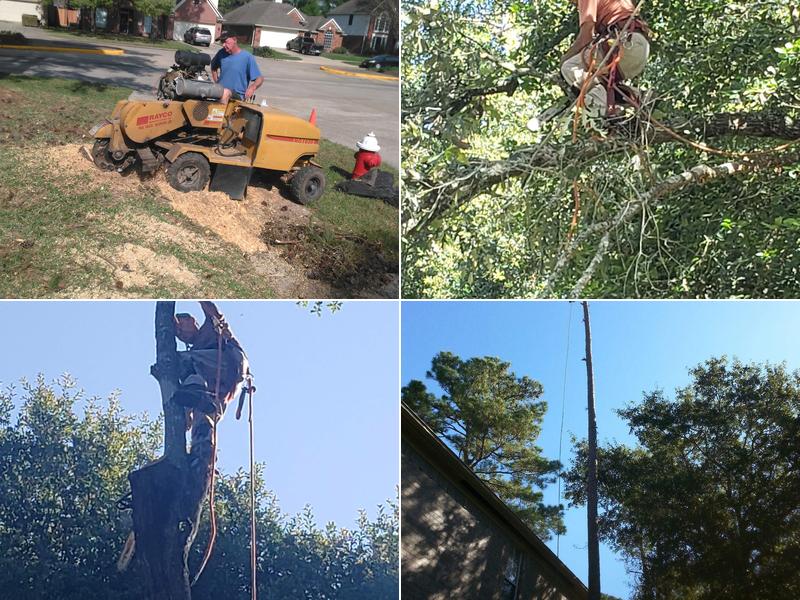 Your Sawlution Tree Service