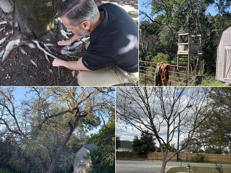 The Davey Tree Expert Company