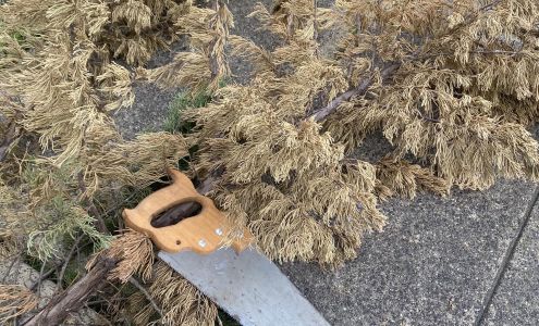 Legacy Tree Services 99 Mill St, Lone Oak Texas 75453