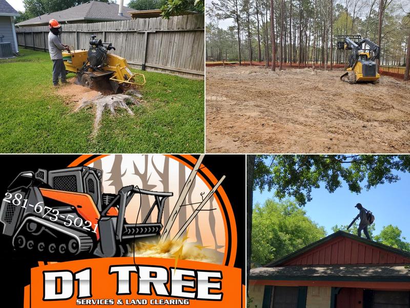 D1 affordable tree service & Land Clearing LLC
