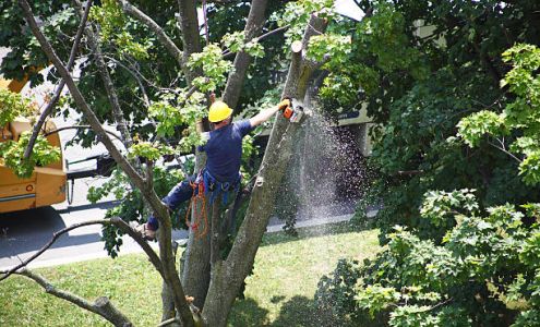 Holcomb Tree Service