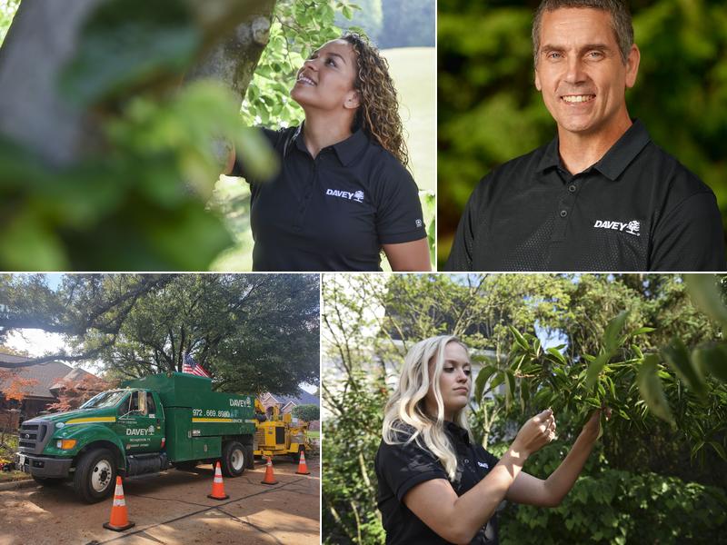 The Davey Tree Expert Company