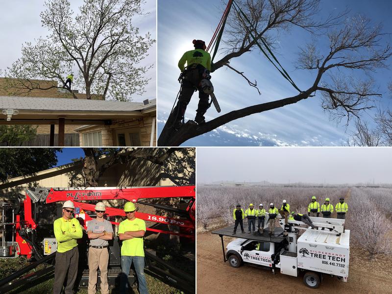 Hildebrandt Tree Tech