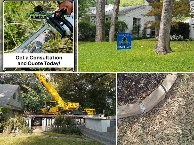 Southern Charm Tree Care