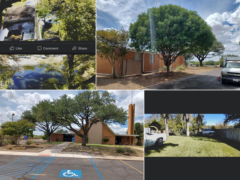 Burney's Tree Services