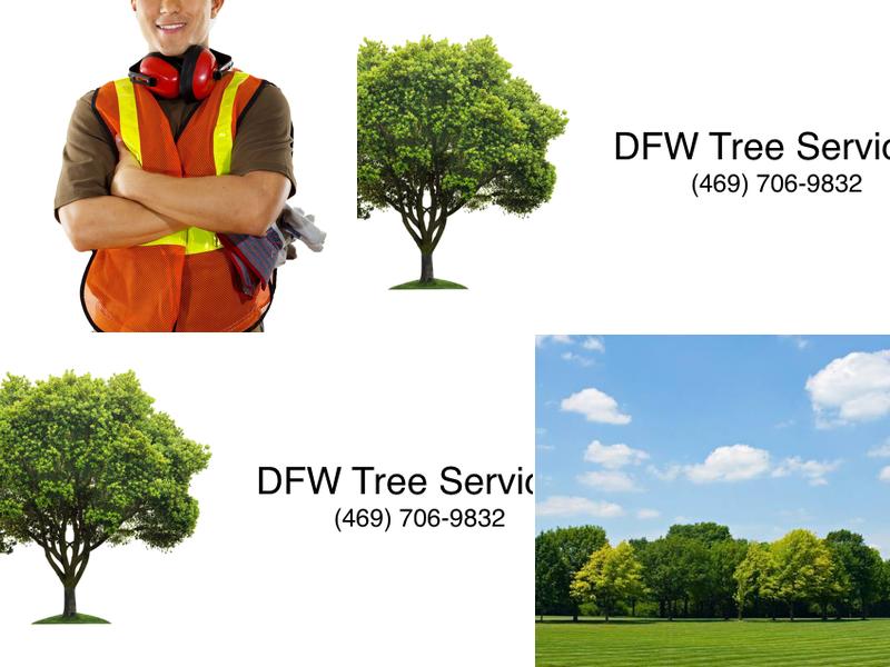 DFW Tree Services