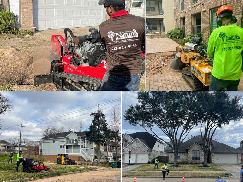 Nature's Tree Removal of Houston