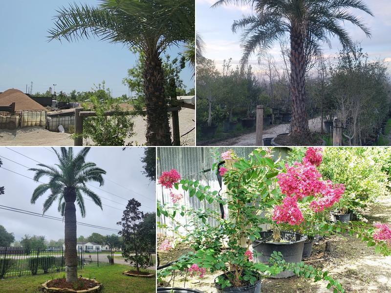 Estrada's Garden Center