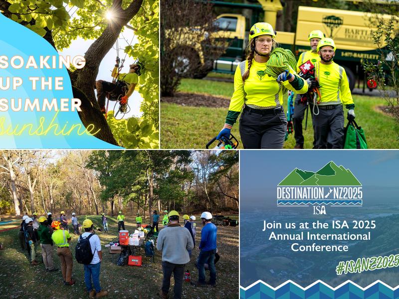 Bartlett Tree Experts