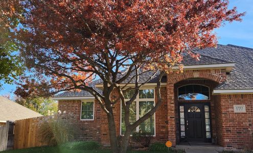 Tope's Tree Trimming & Landscaping