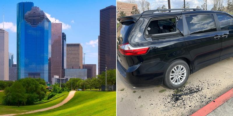 Yellowstone Tree Care