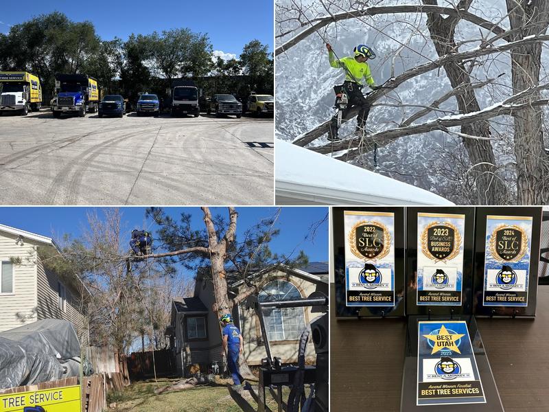 Rent A Monkey Tree Service