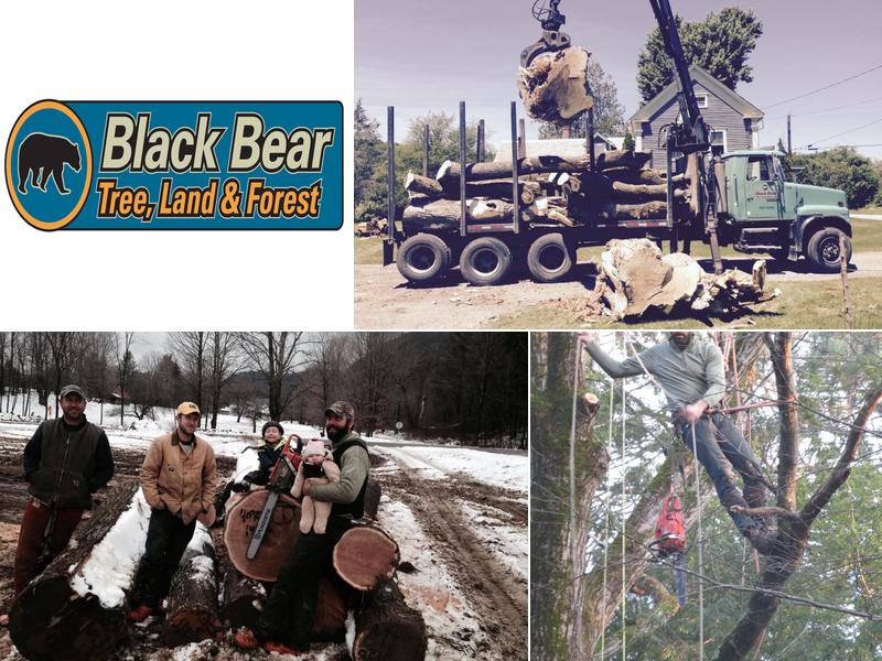 Black Bear Tree Service