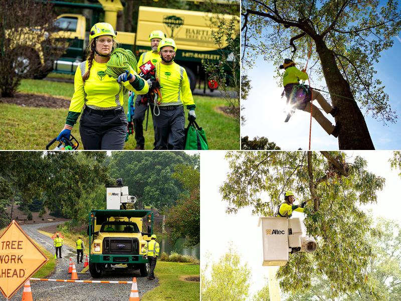 Bartlett Tree Experts