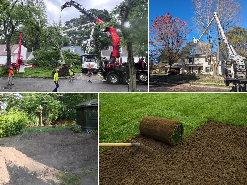 Aubrey's Tree Service & Landscaping